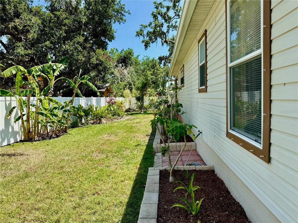 Backyard, Exterior