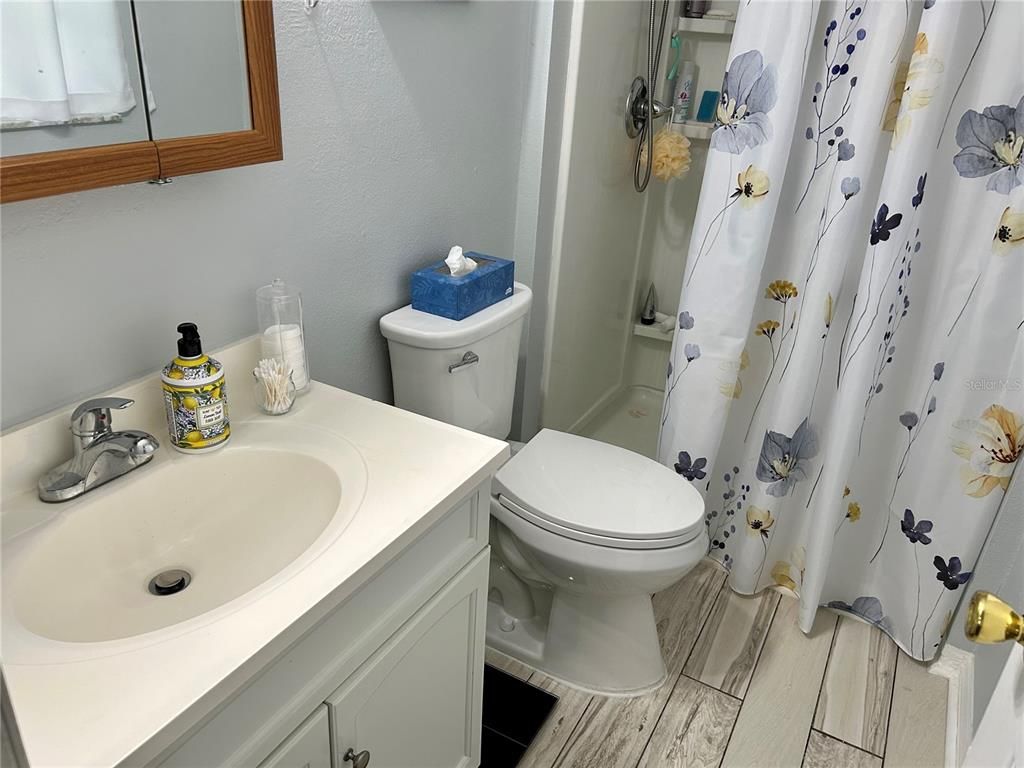 Bathroom, Interior, Wood Texture Flooring