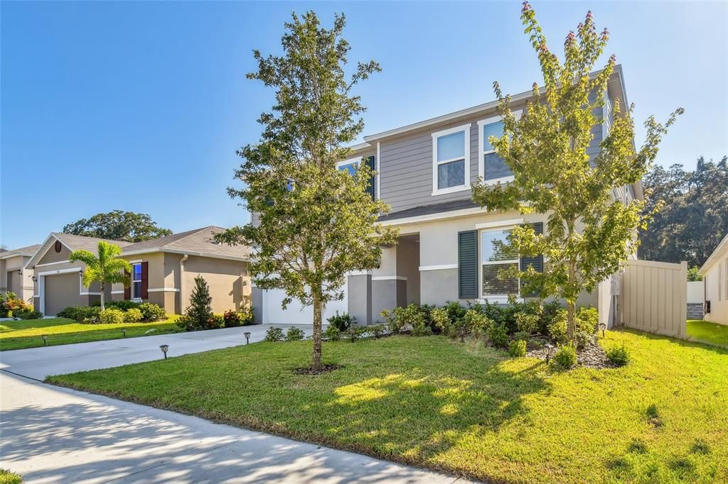Backyard, Exterior