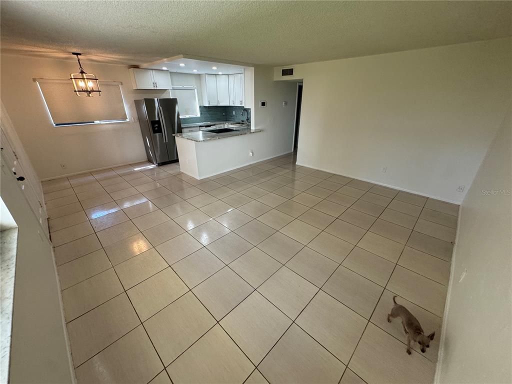 Empty room, Interior, Kitchen, Stainless Steel Appliances