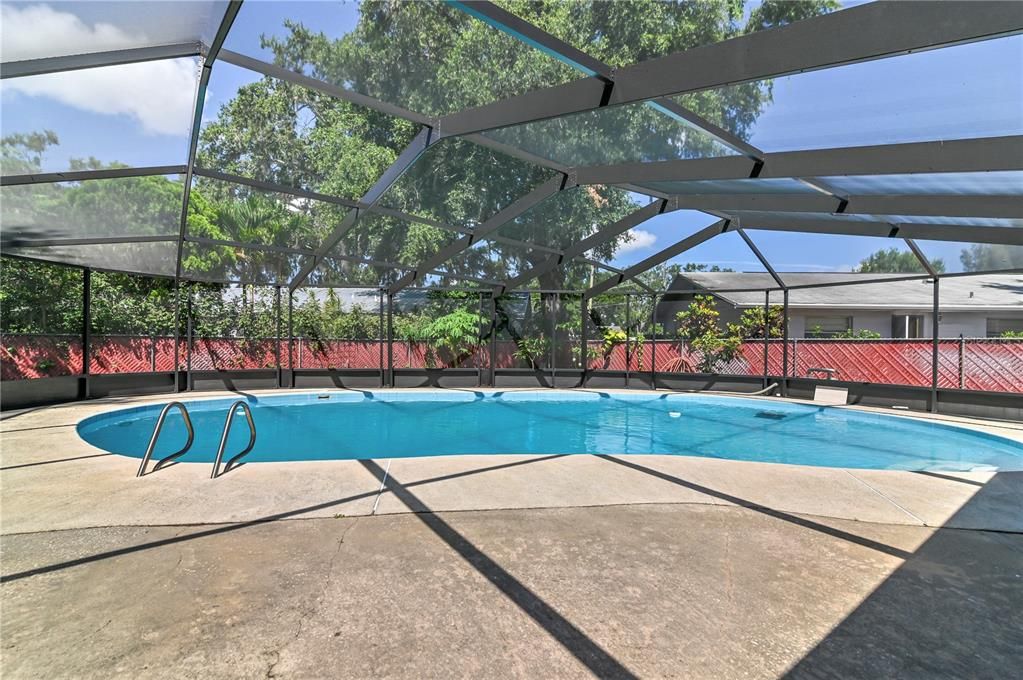 Glass Ceilings, Interior, Pool, Sun Room
