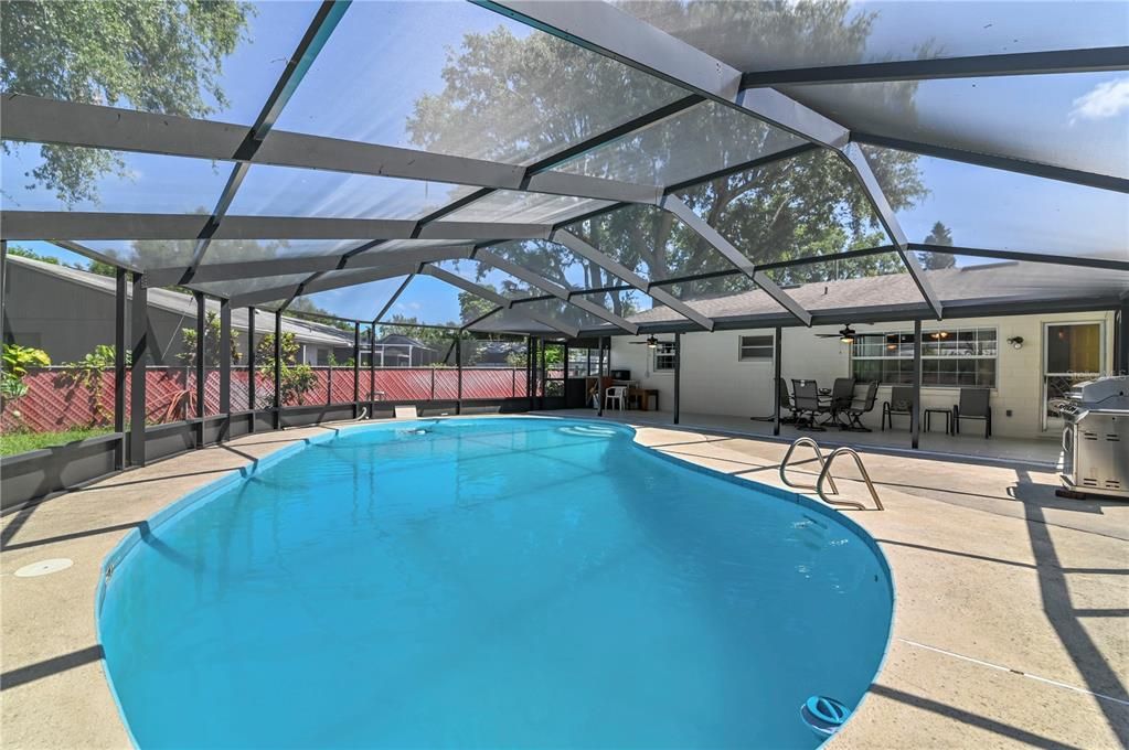 Glass Ceilings, Interior, Pool, Sun Room