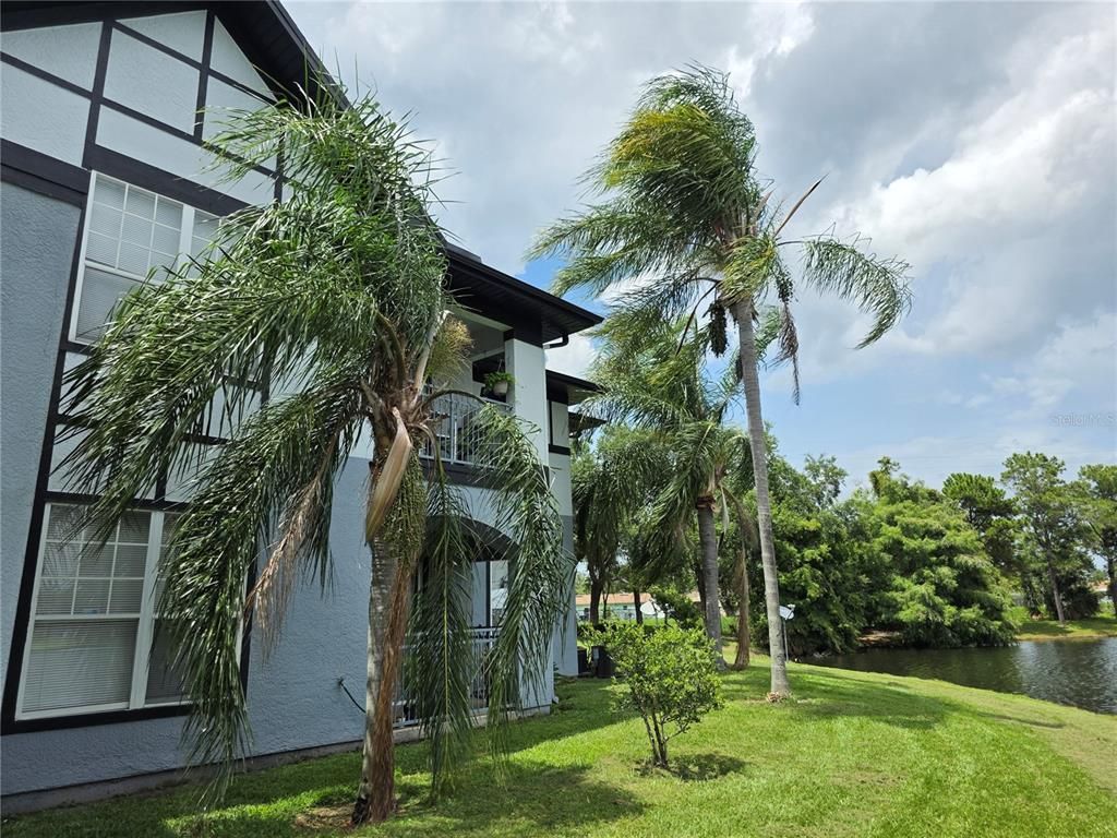 Backyard, Exterior, Water