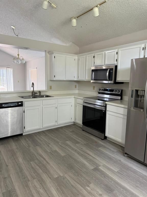 Interior, Kitchen, Stainless Steel Appliances, Wood Texture Flooring