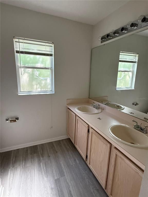 Bathroom, Dual Sink Vanities, Interior, Wood Texture Flooring
