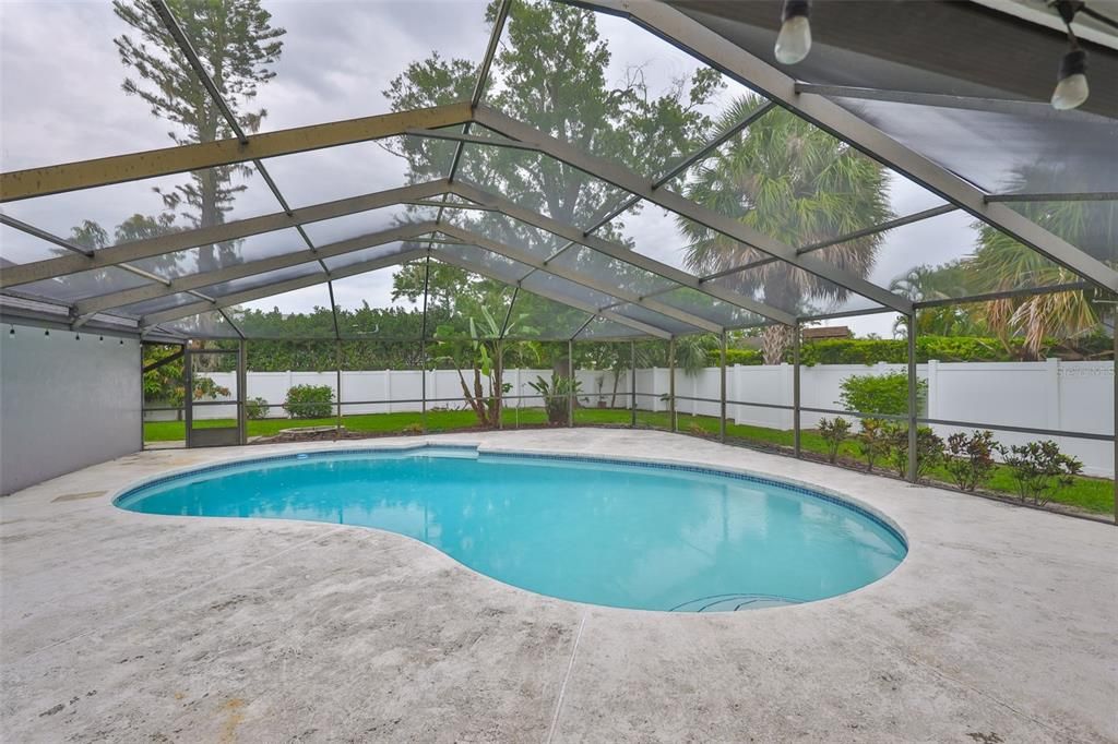 Glass Ceilings, Interior, Pool, Sun Room