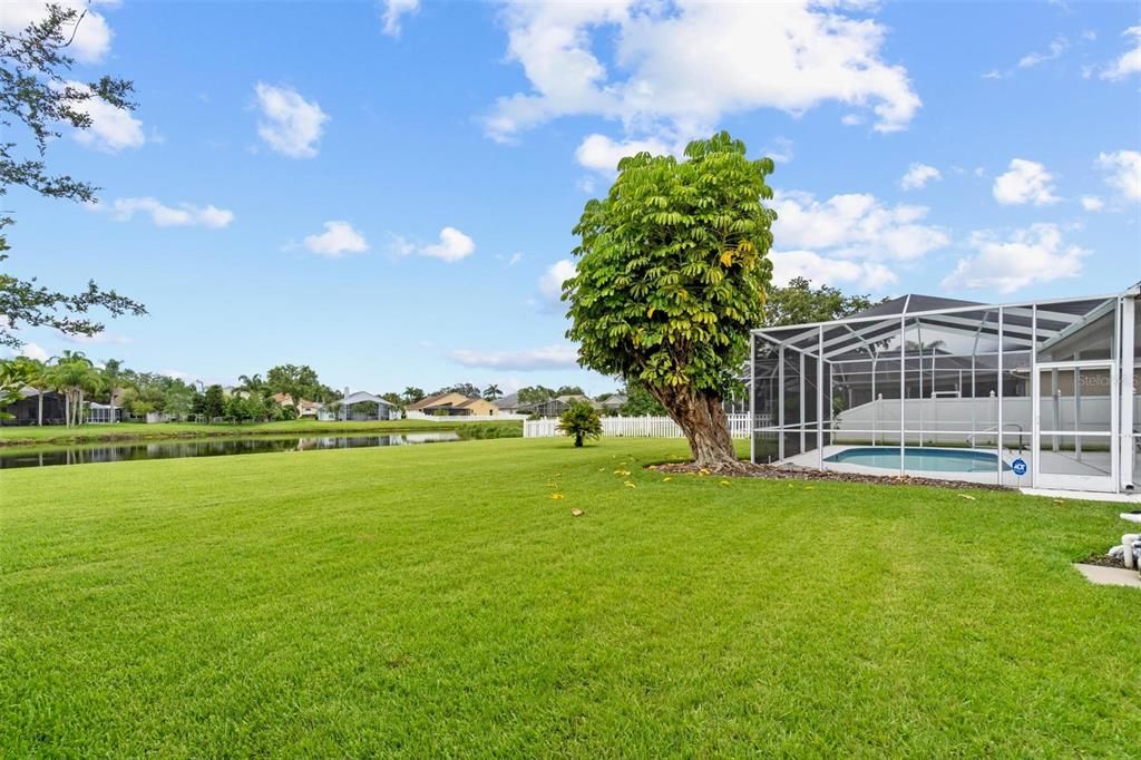 Backyard, Exterior, Pool, Water