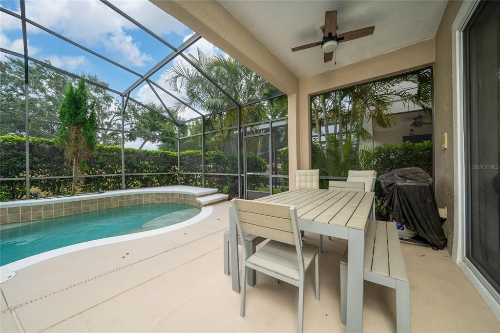 Glass Ceilings, Interior, Pool, Sun Room