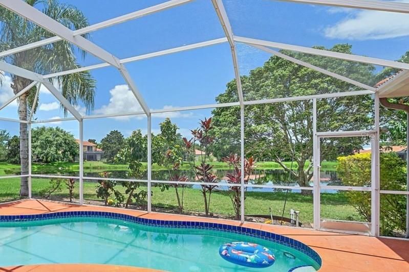Glass Ceilings, Interior, Pool, Sun Room, Water