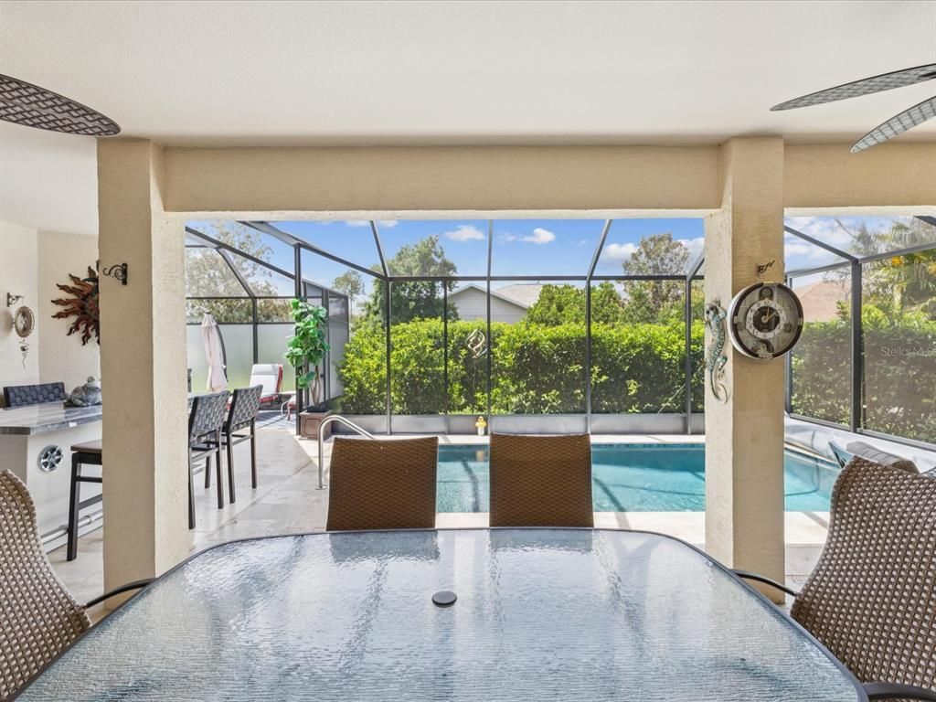 Glass Ceilings, Interior, Pool, Sun Room