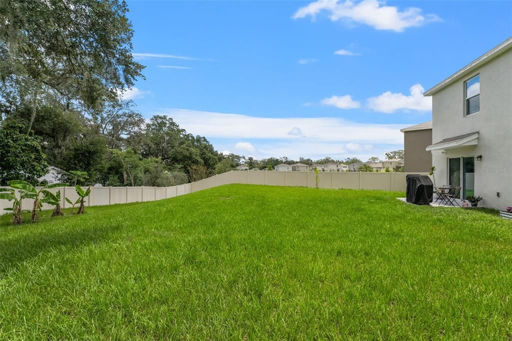 Backyard, Exterior