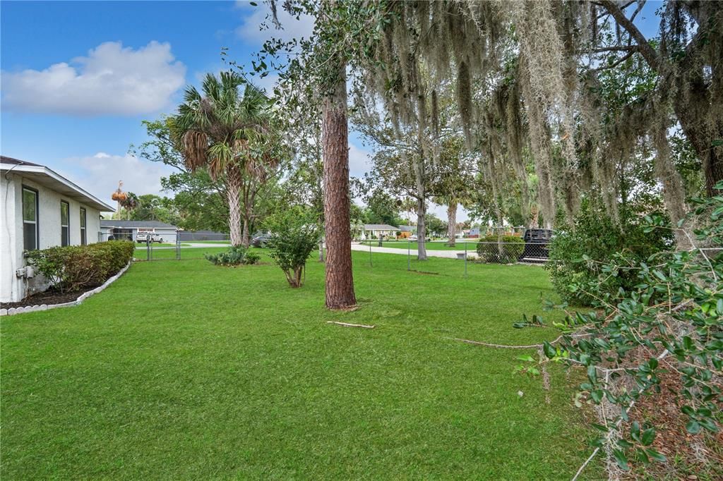 Backyard, Exterior