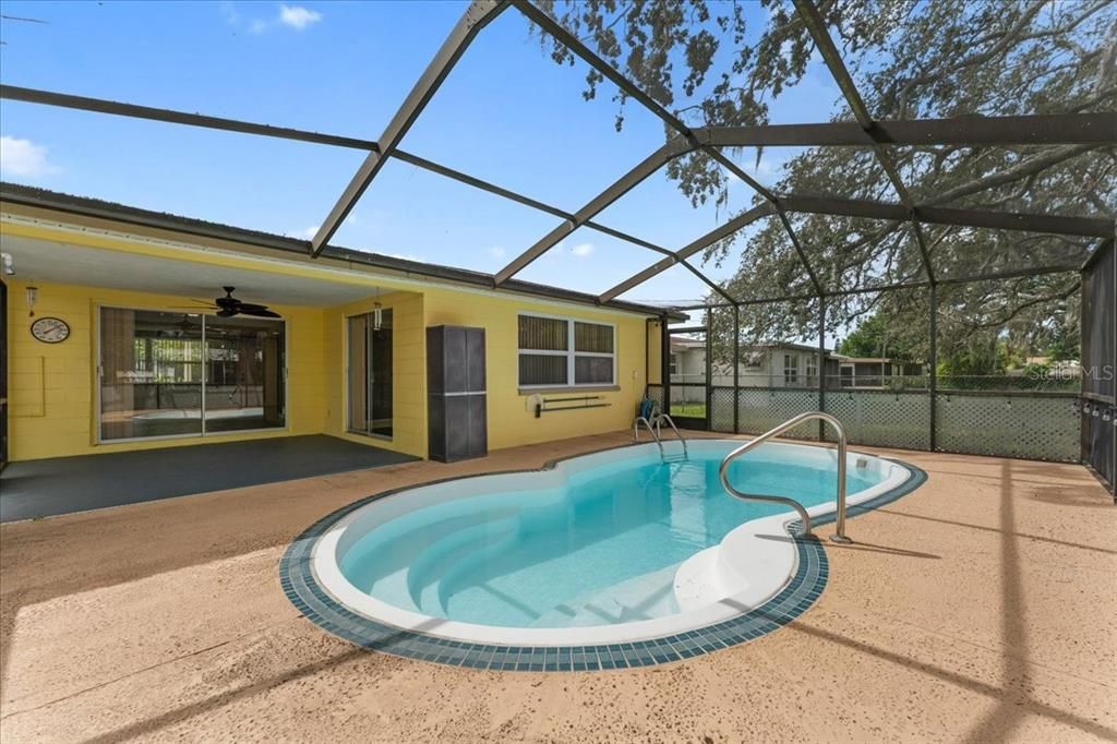 Glass Ceilings, Interior, Pool, Sun Room