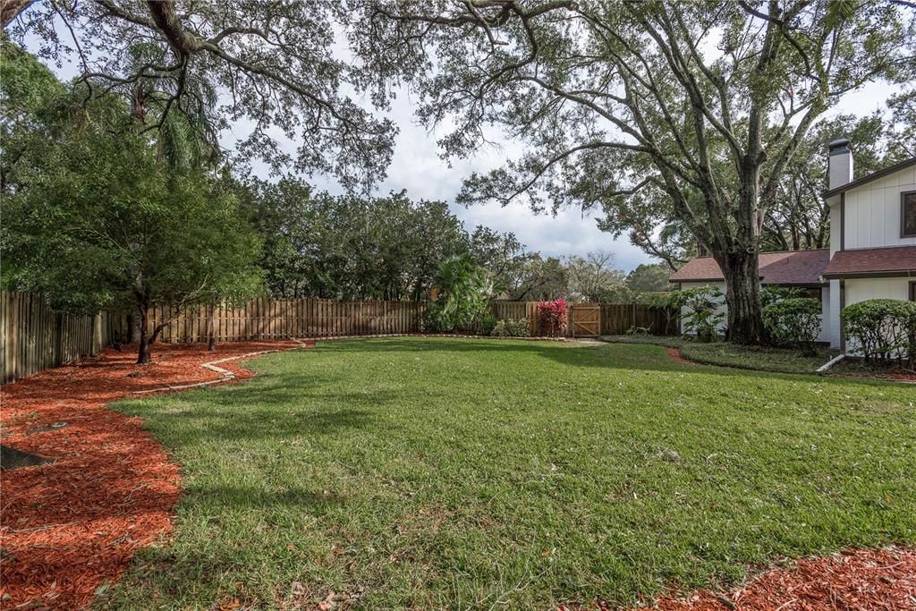 Backyard, Exterior