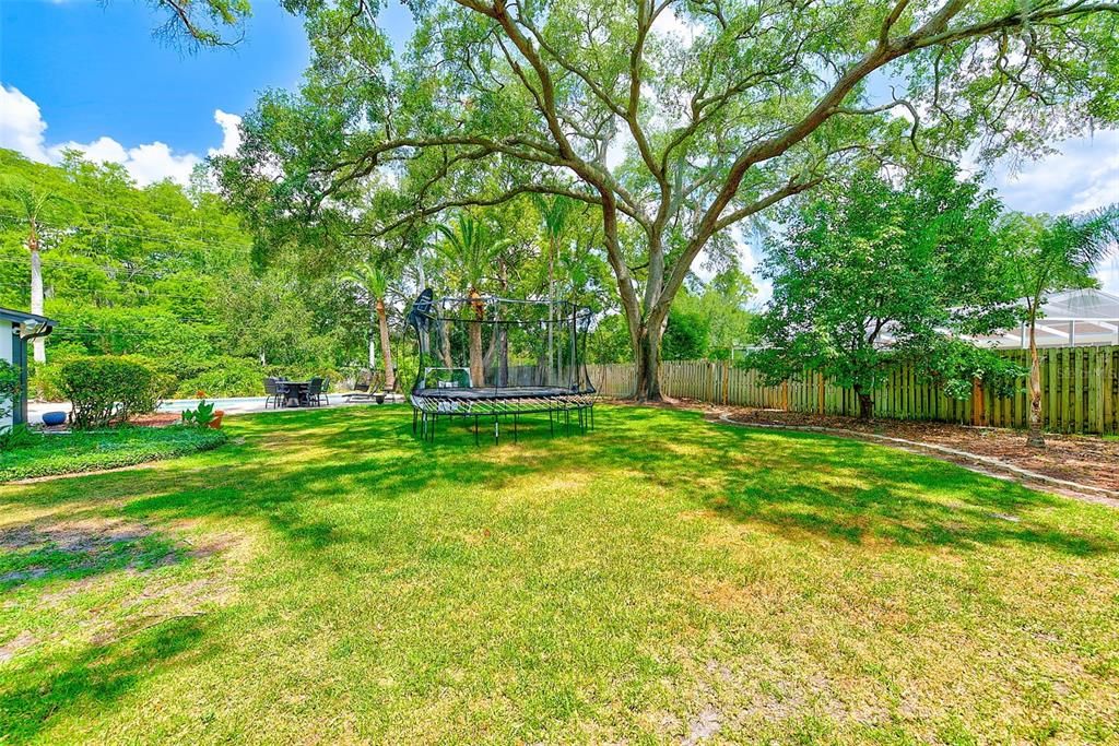 Backyard, Exterior, Playground