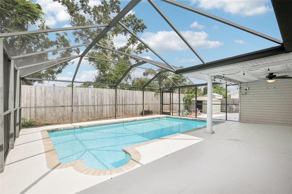 Glass Ceilings, Interior, Pool, Sun Room