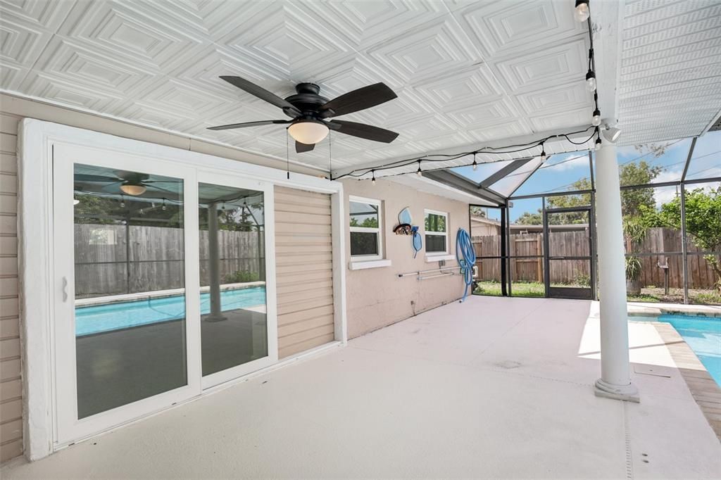 Glass Ceilings, Interior, Pool, Sun Room