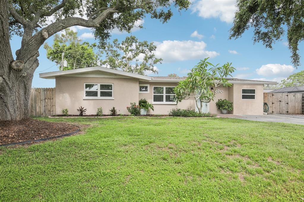 Backyard, Exterior