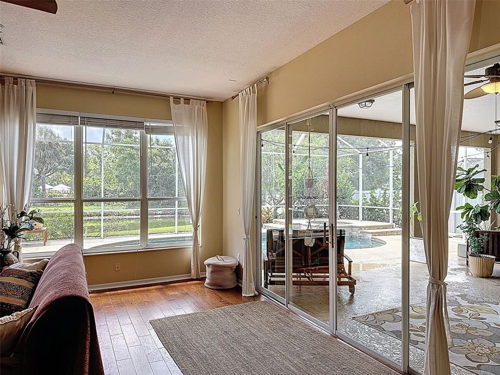 Interior, Sun Room, Wood Texture Flooring