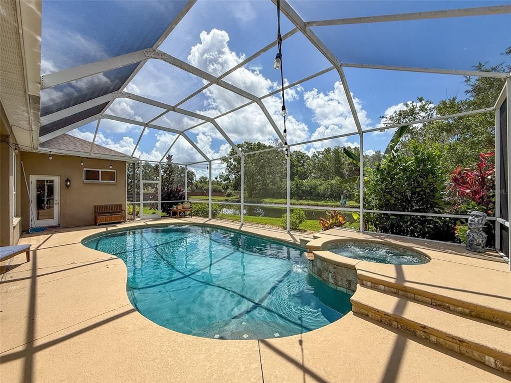 Glass Ceilings, Interior, Pool, Sun Room