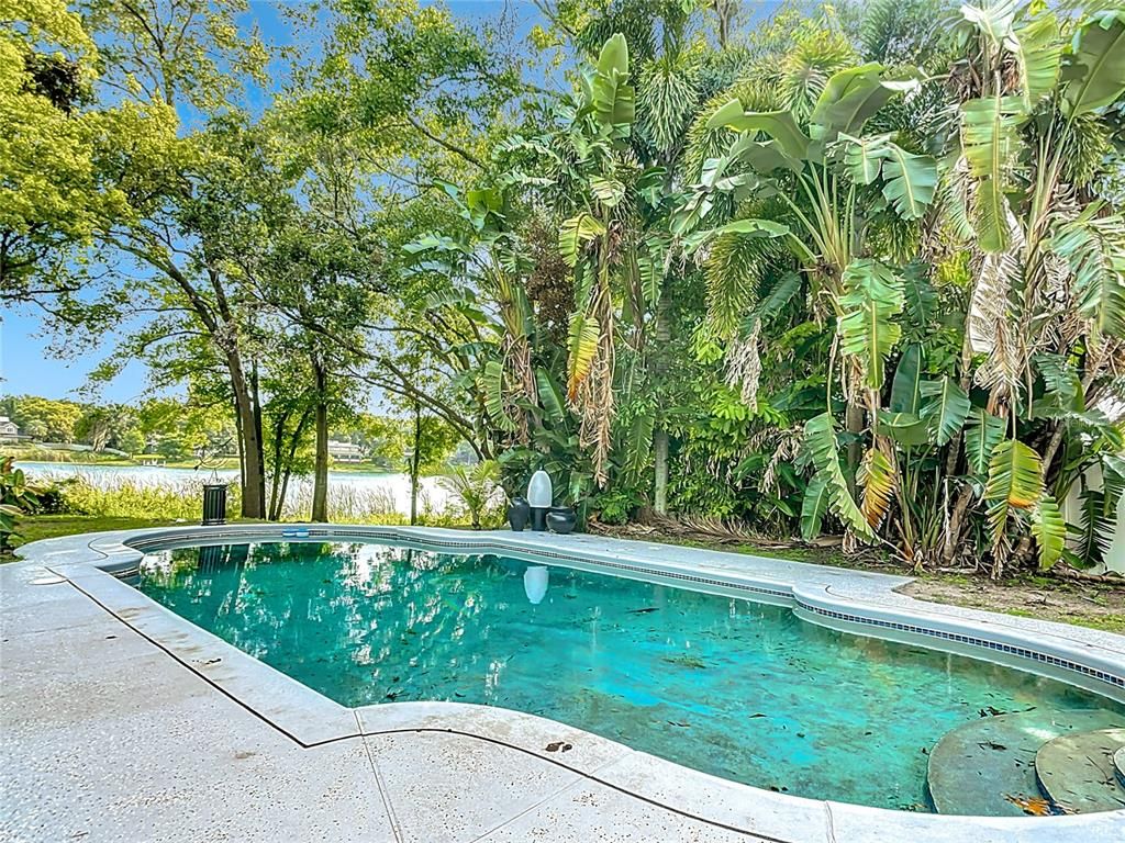 Exterior, Pool