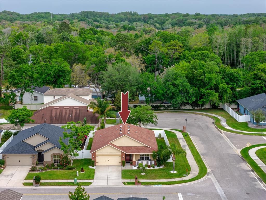 Exterior, Drone