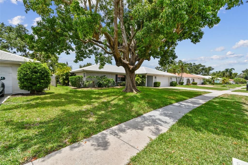 Backyard, Exterior