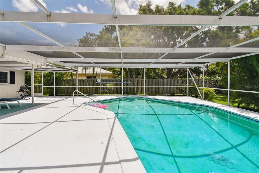 Glass Ceilings, Interior, Pool, Sun Room