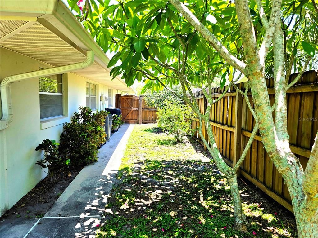 Backyard, Exterior