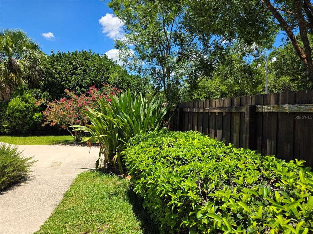 Backyard, Exterior