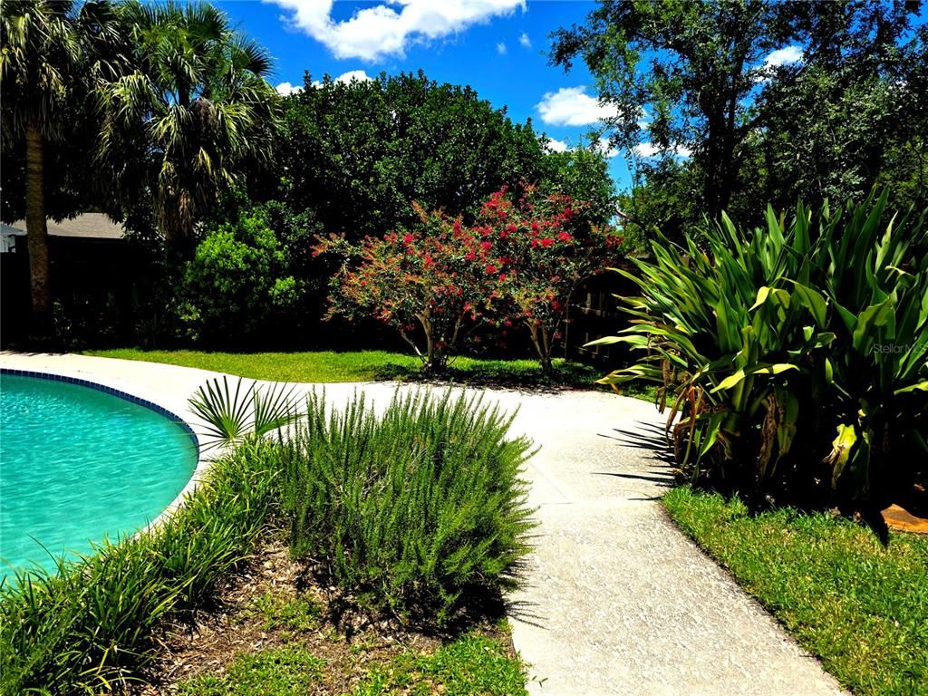 Backyard, Exterior, Pool