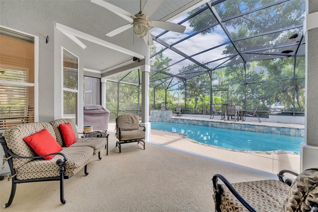 Glass Ceilings, Interior, Pool, Sun Room