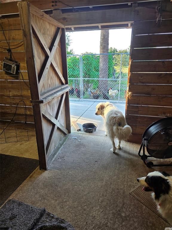 Interior, Wooden Walls