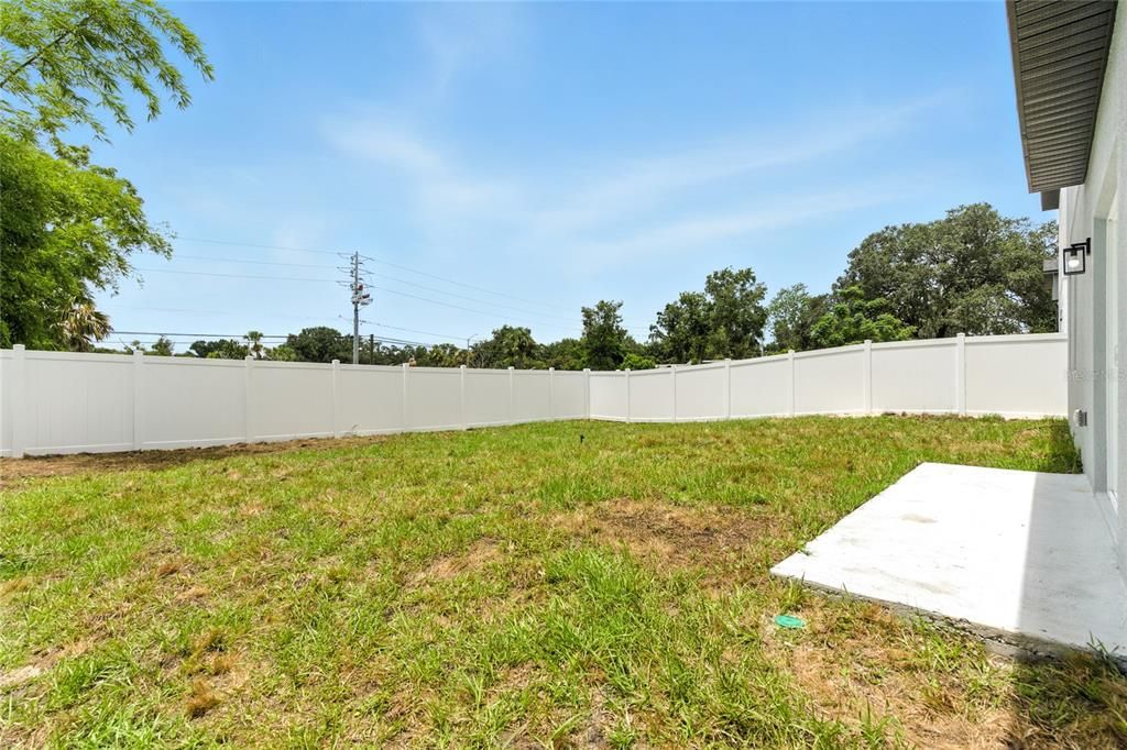 Backyard, Exterior