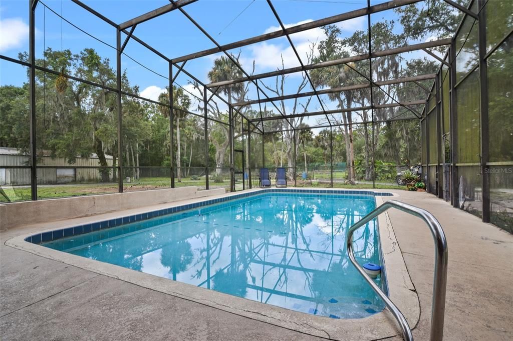 Glass Ceilings, Interior, Pool, Sun Room