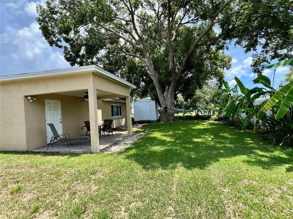 Backyard, Exterior