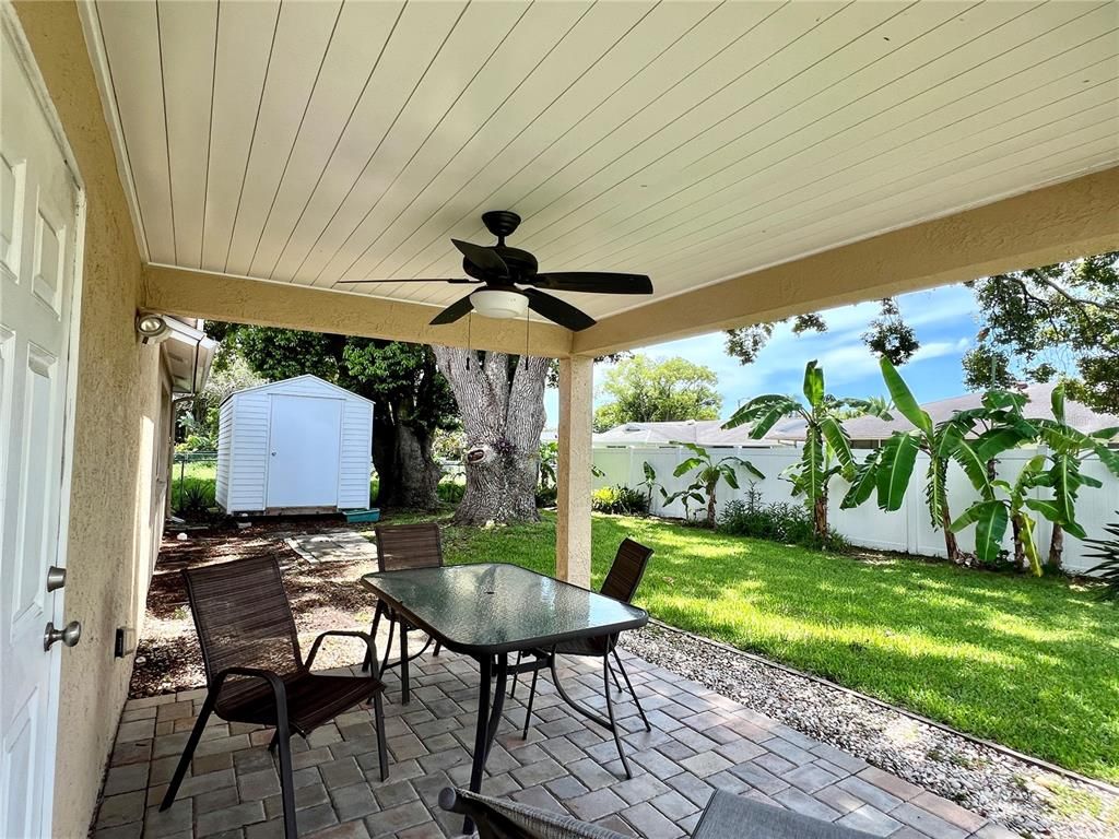 Backyard, Exterior