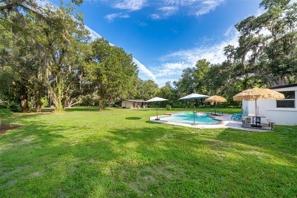 Backyard, Exterior, Pool