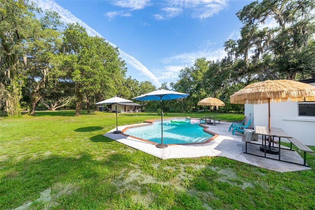Backyard, Exterior, Pool