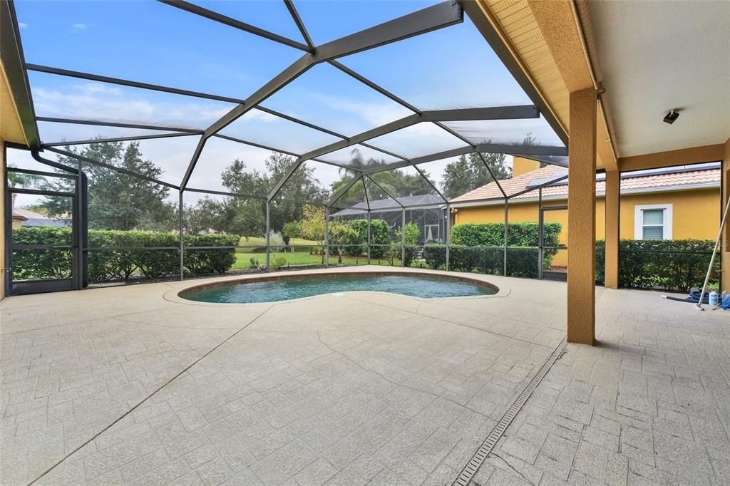 Glass Ceilings, Interior, Pool, Sun Room