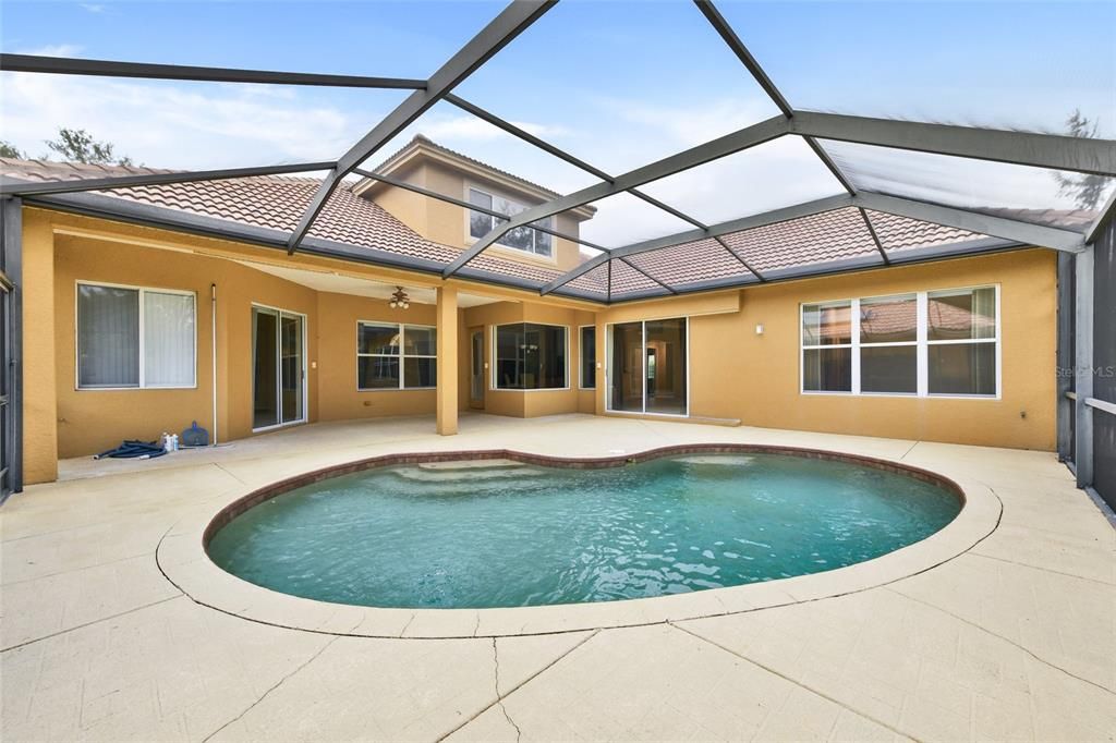 Glass Ceilings, Interior, Pool, Sun Room