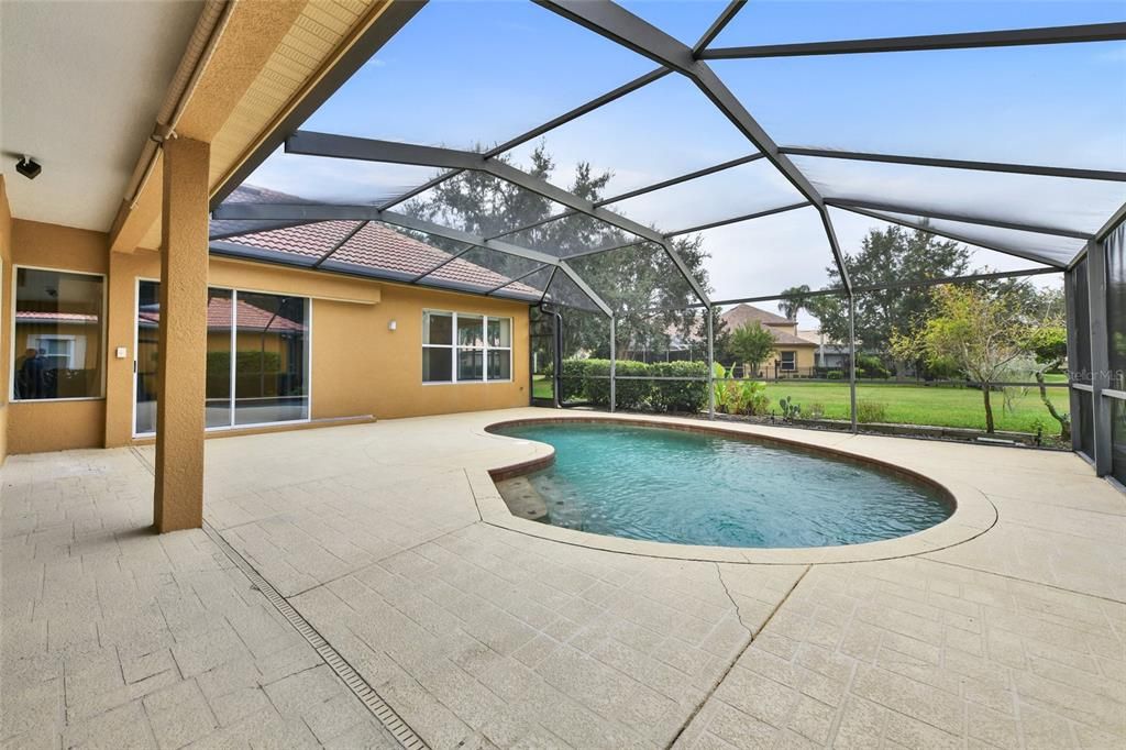 Glass Ceilings, Interior, Pool, Sun Room