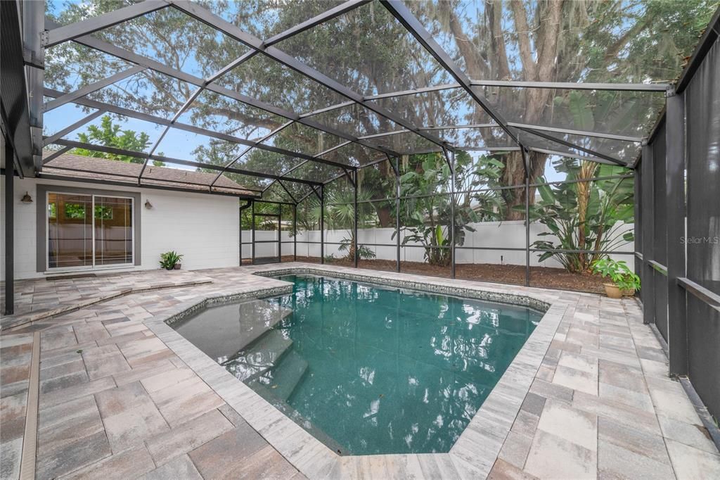 Glass Ceilings, Interior, Pool, Sun Room