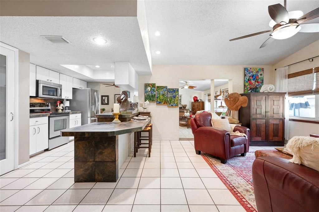 Interior, Kitchen, Living room, Recessed Lighting, Stainless Steel Appliances