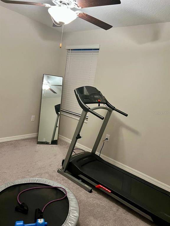 Fitness Equipment, Interior