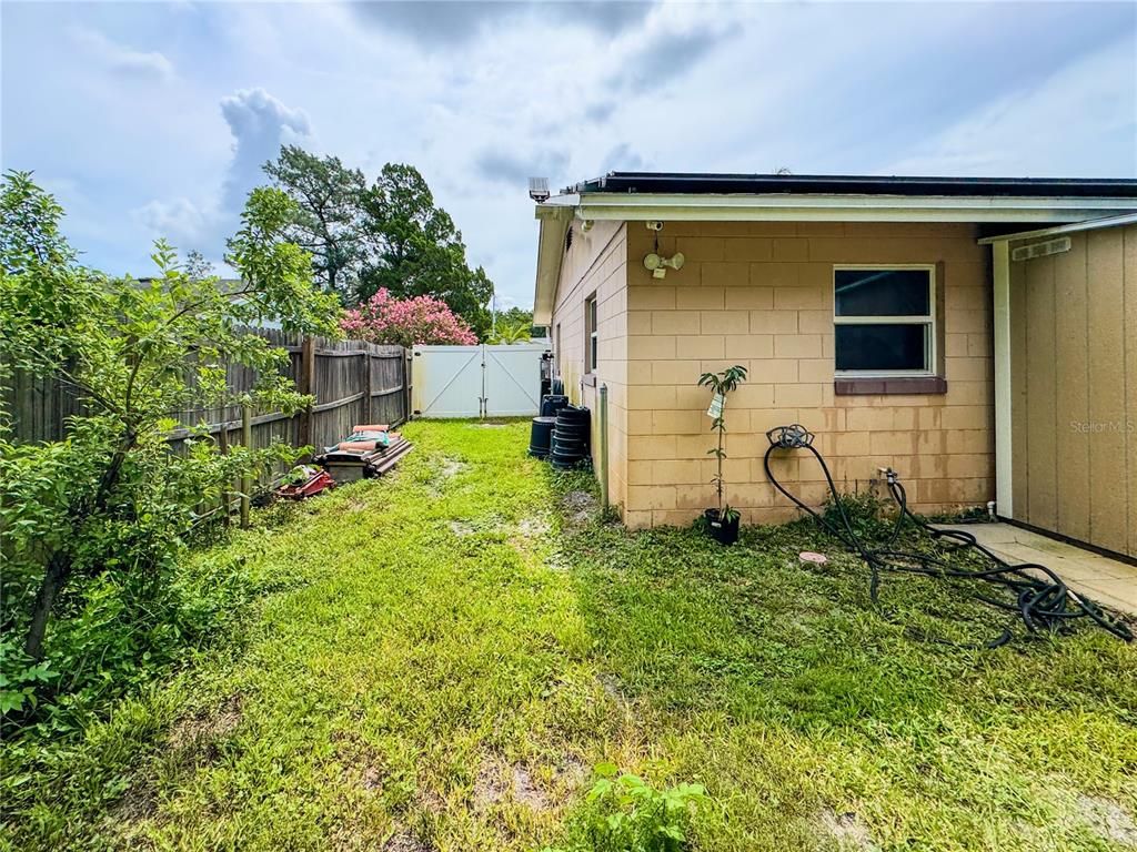 Backyard, Exterior