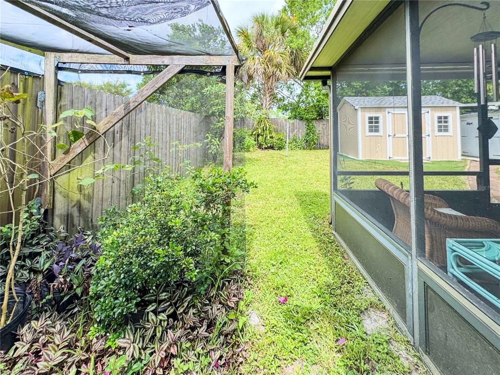 Backyard, Exterior, Sun Room