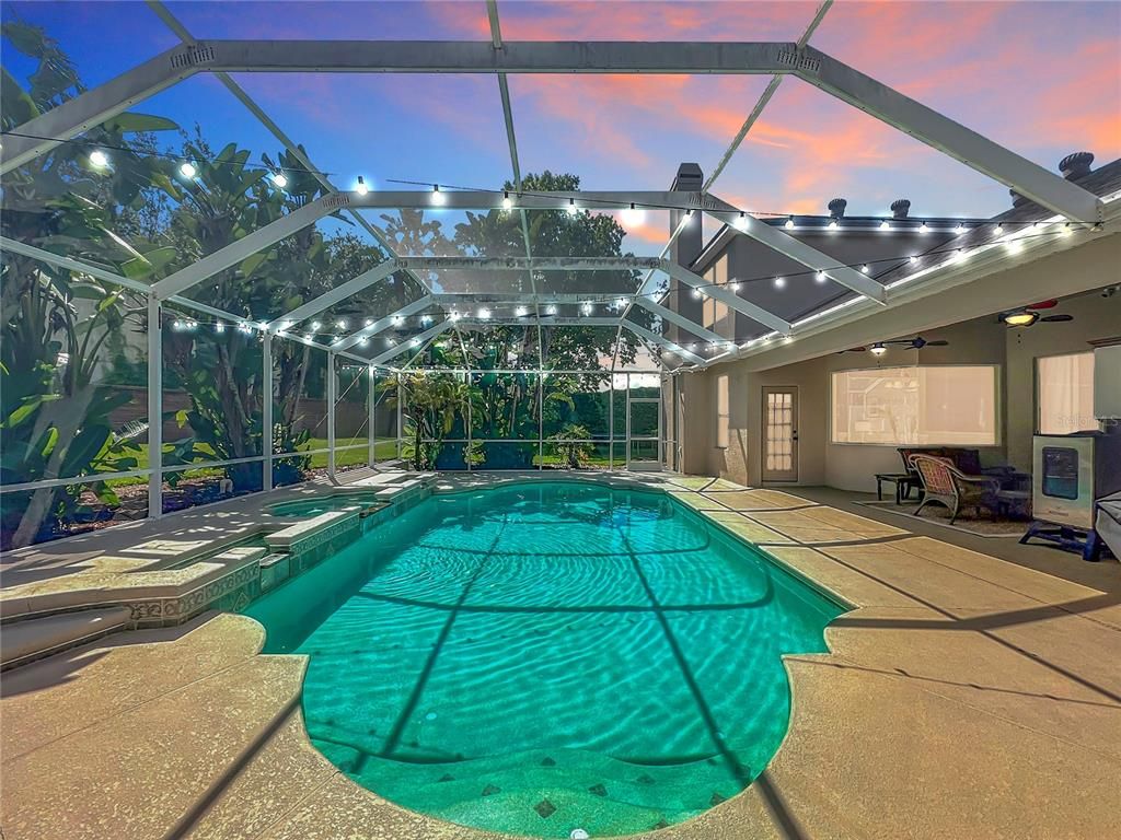 Glass Ceilings, Interior, Pool, Sun Room