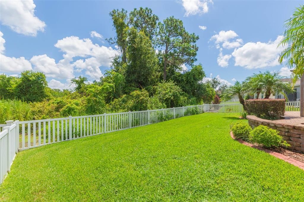 Backyard, Exterior