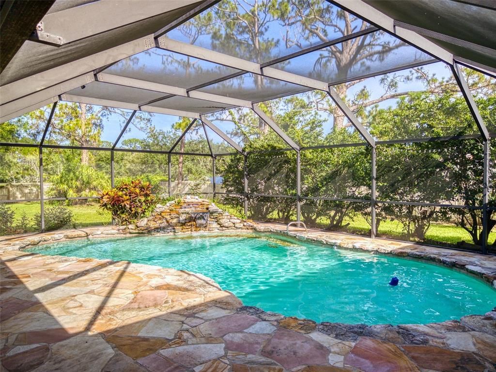 Glass Ceilings, Interior, Pool, Sun Room